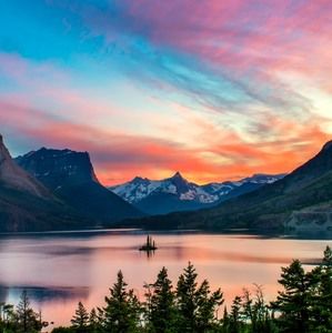 Meet your Posher, Art